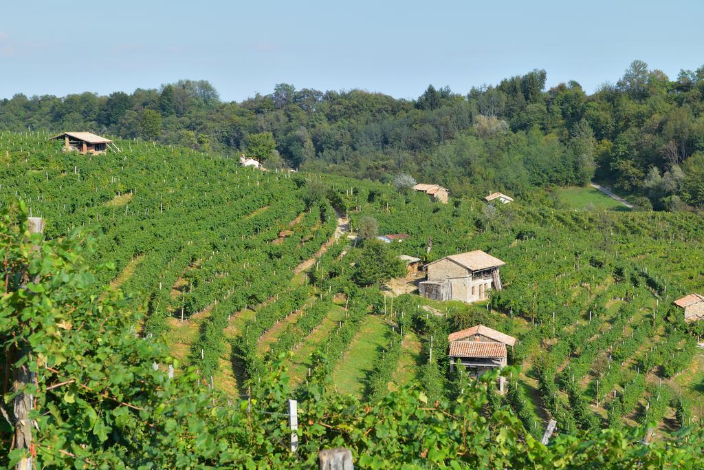 Miane Agriturismo Crodi מראה חיצוני תמונה