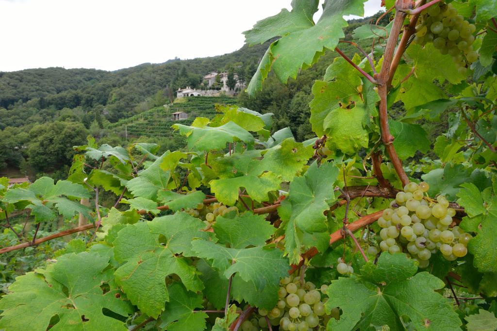 Miane Agriturismo Crodi מראה חיצוני תמונה